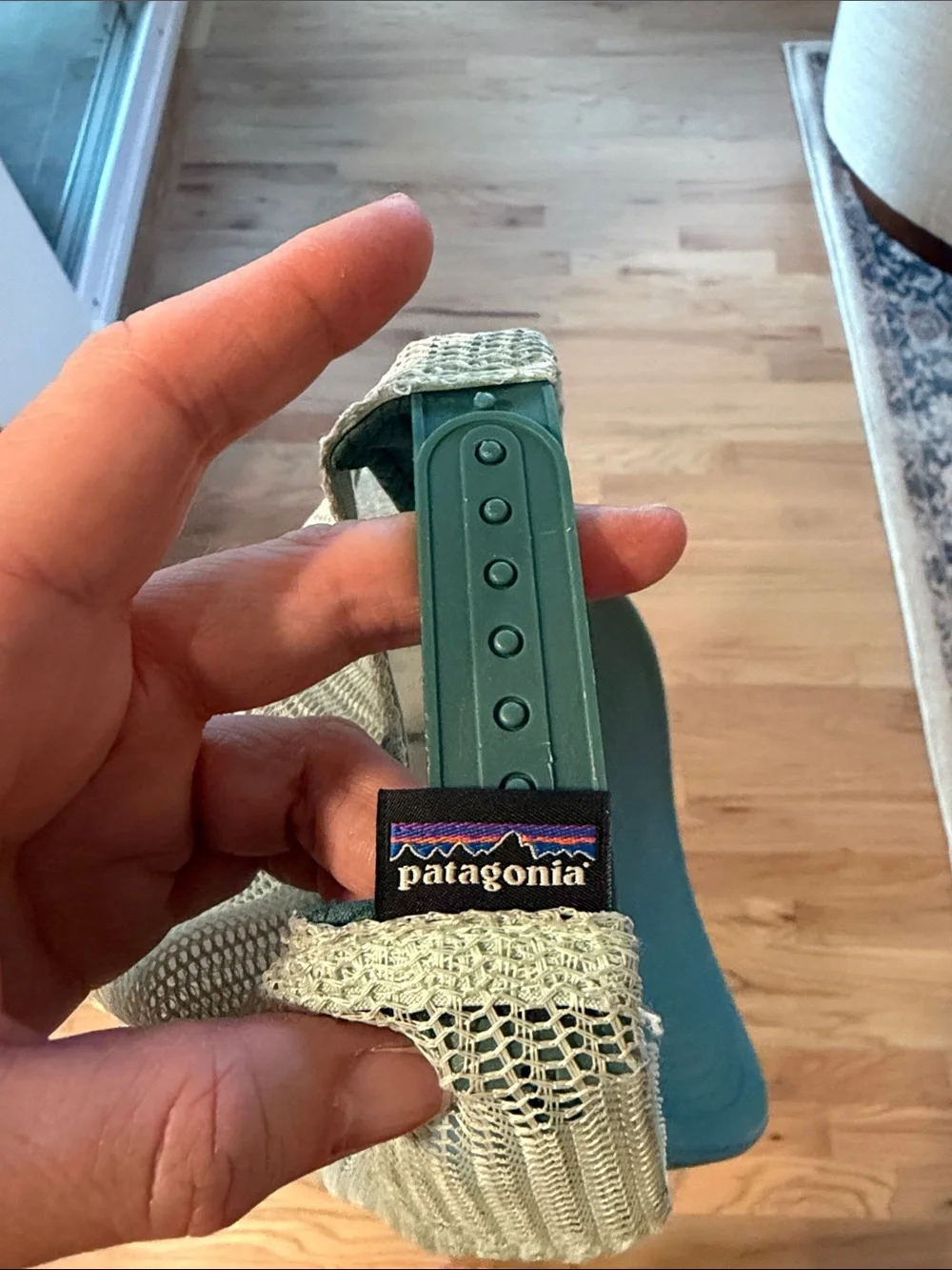 Patagonia Trucker Hat with Multicolor Logo and Green Brim